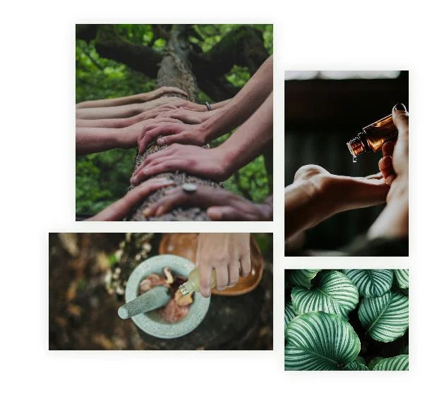 Cucumber & Eucalyptus Body Care - Refreshing & Soothing